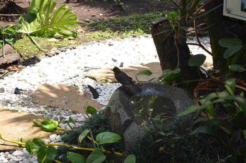 Hotel Aromax Del Campestre เมเดยิน ภายนอก รูปภาพ